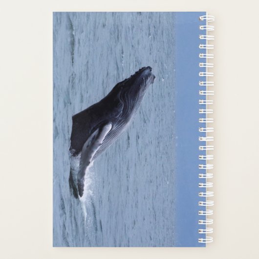 Humpback Whale Calf Breach Planner (Achterkant)