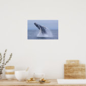 Humpback Whale Calf Print (Keuken)