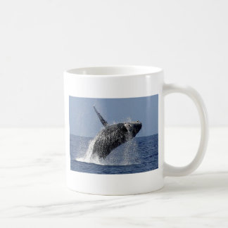 Humpback Whale Coofee Mok