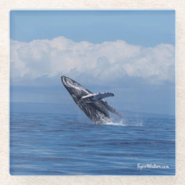 Humpback whale doorbreekt onderzetter glazen onderzetter