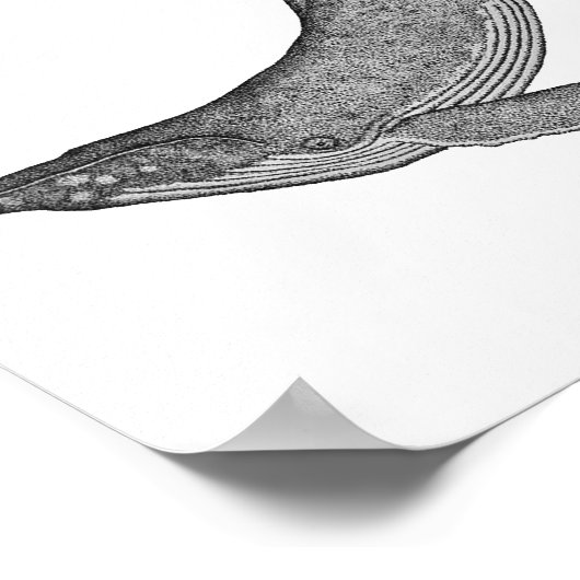 Humpback Whale Dotwork Poster (Hoek)