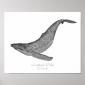 Humpback Whale Dotwork Poster (Voorkant)