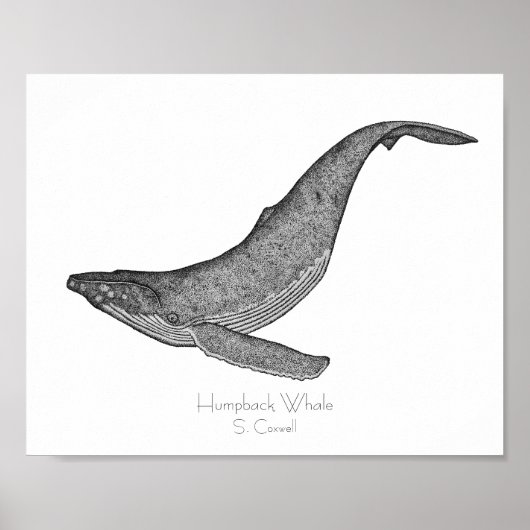 Humpback Whale Dotwork Poster (Voorkant)
