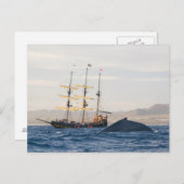 Humpback Whale en Ship Briefkaart (Voorkant / Achterkant)