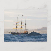 Humpback Whale en Ship Briefkaart (Voorkant)