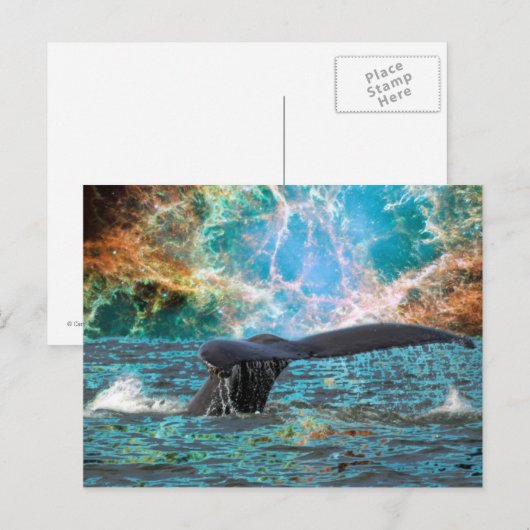 Humpback whale en Supernova Briefkaart (Voorkant / Achterkant)