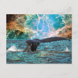 Humpback whale en Supernova Briefkaart