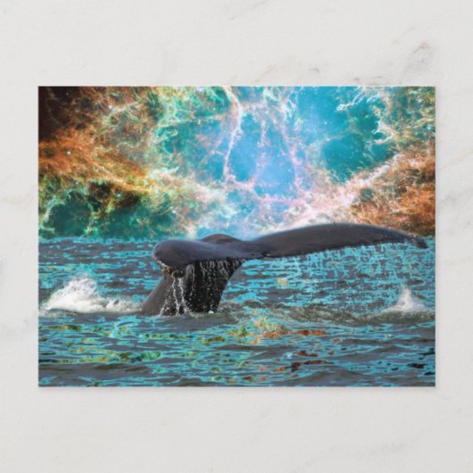 Humpback whale en Supernova Briefkaart (Voorkant)