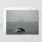 Humpback Whale en Tall Ship 2 Briefkaart (Voorkant / Achterkant)