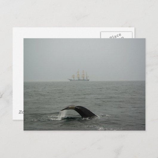 Humpback Whale en Tall Ship 2 Briefkaart (Voorkant / Achterkant)