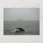 Humpback Whale en Tall Ship 2 Briefkaart (Voorkant)