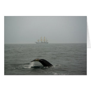 Humpback Whale en Tall Ship 2 Card
