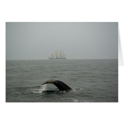 Humpback Whale en Tall Ship 2 Card (Voorkant Horizontaal)