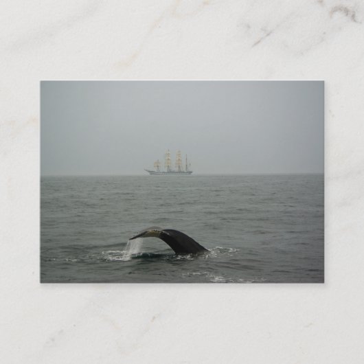 Humpback Whale en Tall Ship 2 Mini Print Visitekaartje (Voorkant)