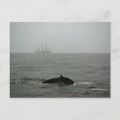 Humpback Whale en Tall Ship Briefkaart (Voorkant)