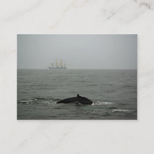 Humpback Whale en Tall Ship Mini Print Visitekaartje