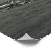 Humpback Whale en Tall Ship Print (Hoek)