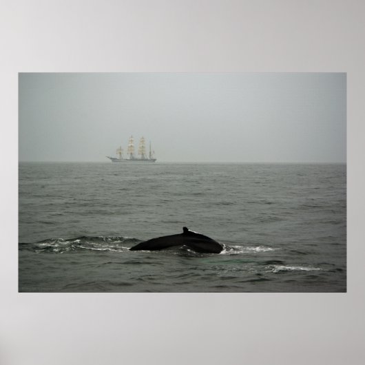 Humpback Whale en Tall Ship Print (Voorkant)