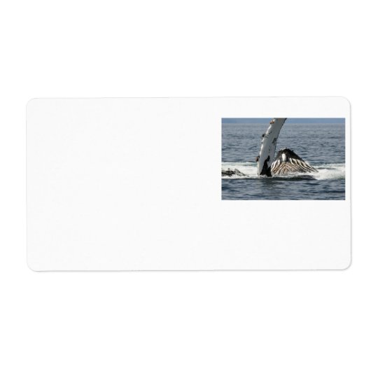 Humpback Whale Etiket (Voorkant)