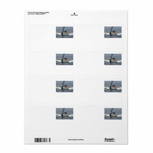 Humpback Whale Etiket (Full Sheet)
