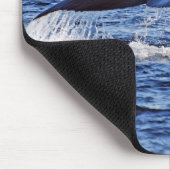 Humpback Whale Fluke, Victoria, BC Muismat (Hoek)