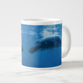 Humpback Whale Grote Koffiekop (Voorkant rechts)