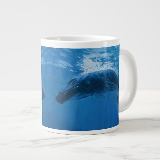 Humpback Whale Grote Koffiekop (Voorkant rechts)