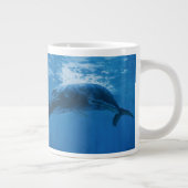 Humpback Whale Grote Koffiekop (Rechts)