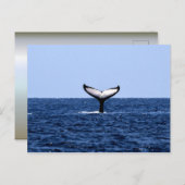 Humpback Whale in Ocean Briefkaart (Voorkant / Achterkant)