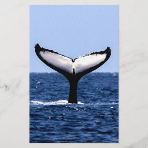 Humpback Whale in Ocean Briefpapier