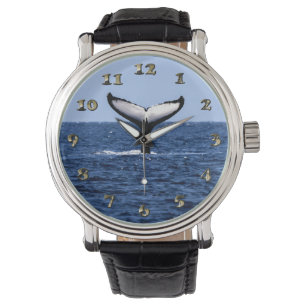 Humpback Whale in Ocean Horloge