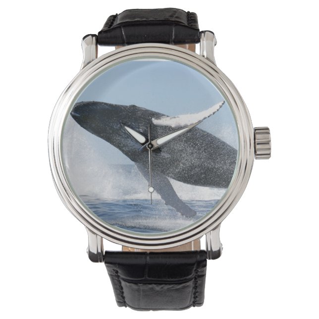 Humpback Whale Jumping High Horloge (Voorkant)