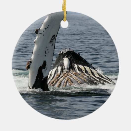 Humpback Whale Keramisch Ornament (Achterkant)