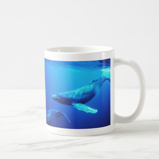 Humpback Whale Koffiemok (Rechts)