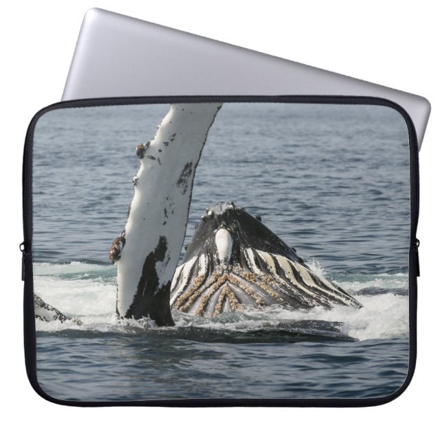 Humpback Whale Laptop Sleeve (Voorkant)