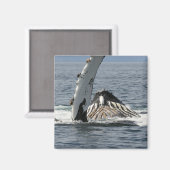 Humpback Whale Magneet (Voorkant / Achterkant)
