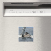 Humpback Whale Magneet (Insitu (Vaatwasser))