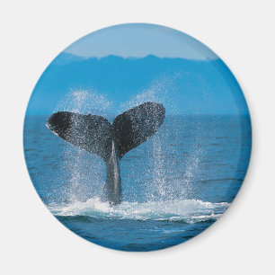 Humpback Whale Magneet