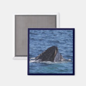Humpback Whale Magneet (Voorkant / Achterkant)