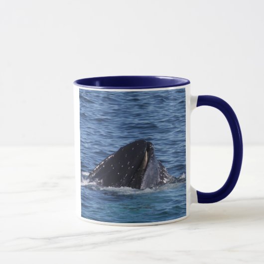 Humpback Whale Mok (Rechts)