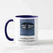 Humpback Whale Mok (Links)