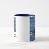 Humpback Whale Mok (Midden)