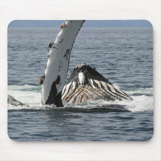 Humpback Whale Muismat (Voorkant)