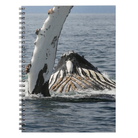 Humpback Whale Notitieboek (Voorkant)