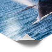 Humpback Whale Photo Print Foto Afdruk (Hoek)