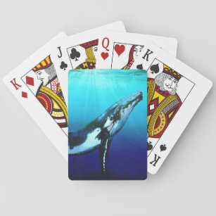 Humpback Whale Pokerkaarten