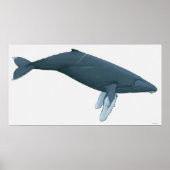 Humpback Whale Poster (Voorkant)