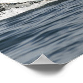 Humpback Whale Poster (Hoek)