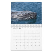 HUMPBACK WHALE QUEENSLAND AUSTRALIË KALENDER (Jan 2027)