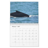HUMPBACK WHALE QUEENSLAND AUSTRALIË KALENDER (Feb 2027)
